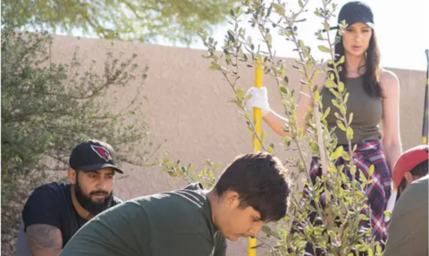 Menlo Park Neighborhood Tree Planting